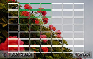 GH4 Technical Info image 4