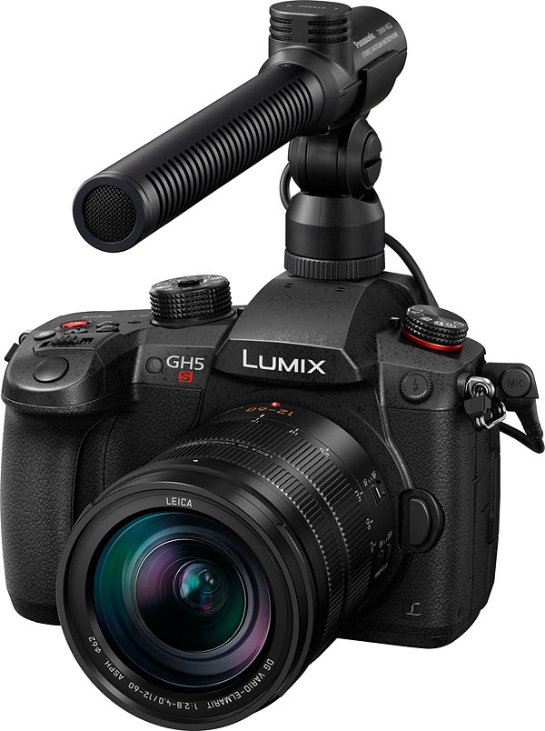 Panasonic - 【ひな】Panasonic DC-GH5S＆SONY SEL15F14G Amazon.com : Panasonic Lumix DC-GH5S Mirrorless Micro Four