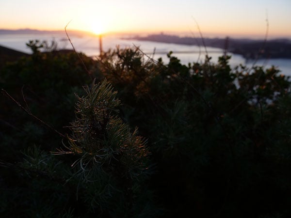 GH5 Field Test Part II image 12