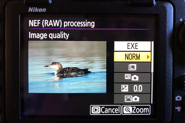 D850 Field Test Part III image 3