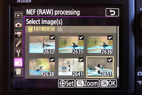 D850 Field Test Part III image 2