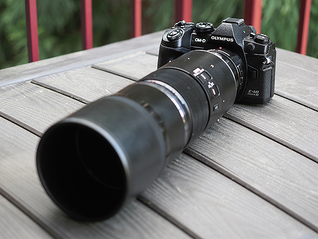 Olympus E-M1 Mark III Review - Imaging Resource