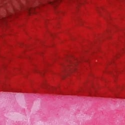 A7 Image Quality image 60