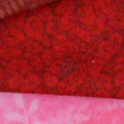 A7 Image Quality image 48