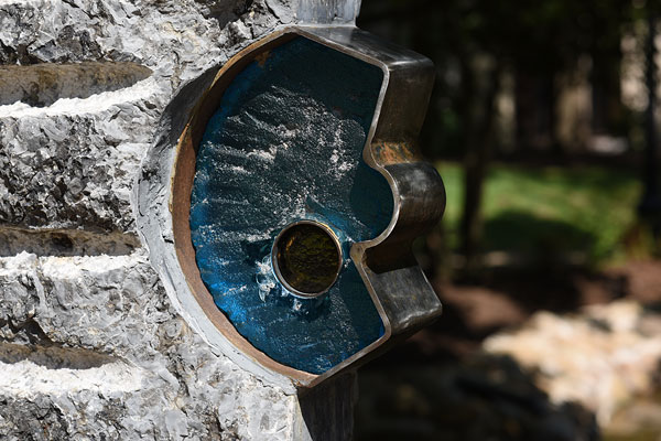 D810 Field Test Part II image 9