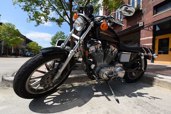 D810 Field Test Part II image 5