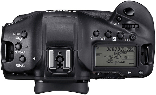 Canon 1DX レリーズ61000以下 Canon 1DX レリーズ61000以下 Lensrentals.com - Rent a Canon 1DX Mark II