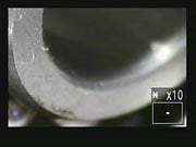 40D Viewfinder image 6