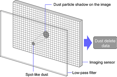 40D Optics image 6