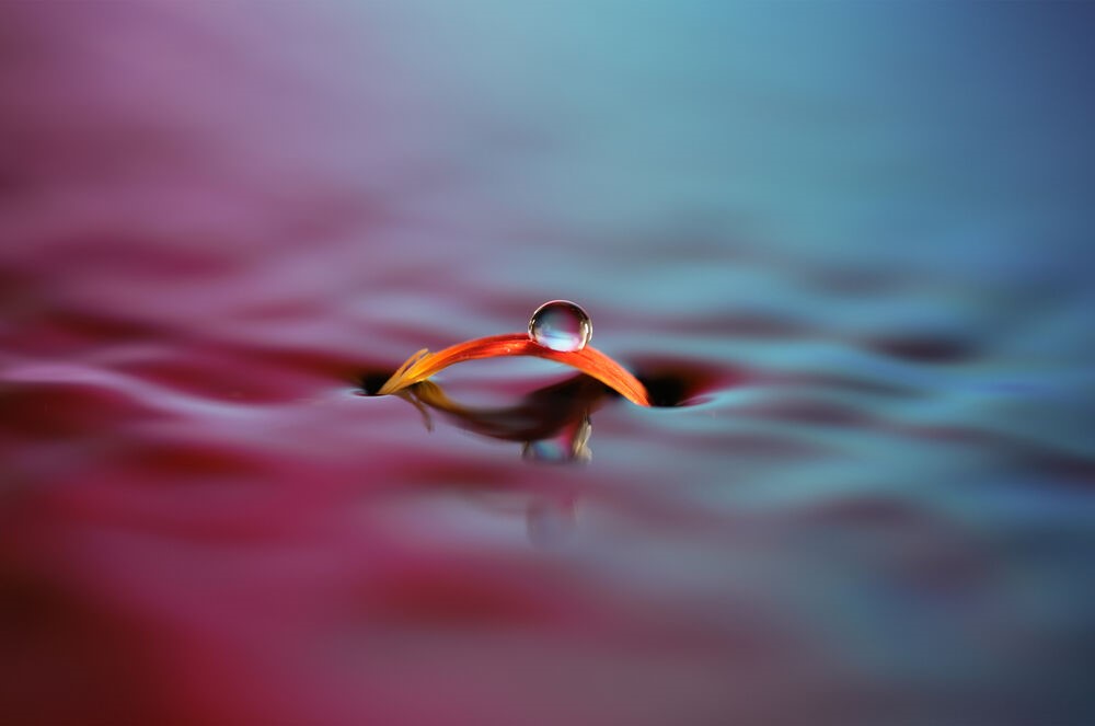 Sample Images with the Sony FE 100mm F/2.8 GM.