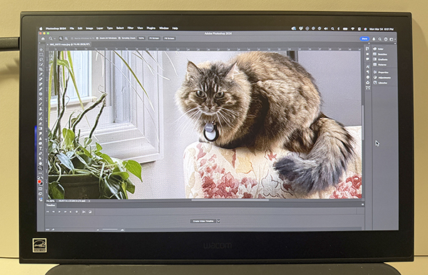 Wacom Movink 13 Portable Pen Display Tablet for Creators - Imaging