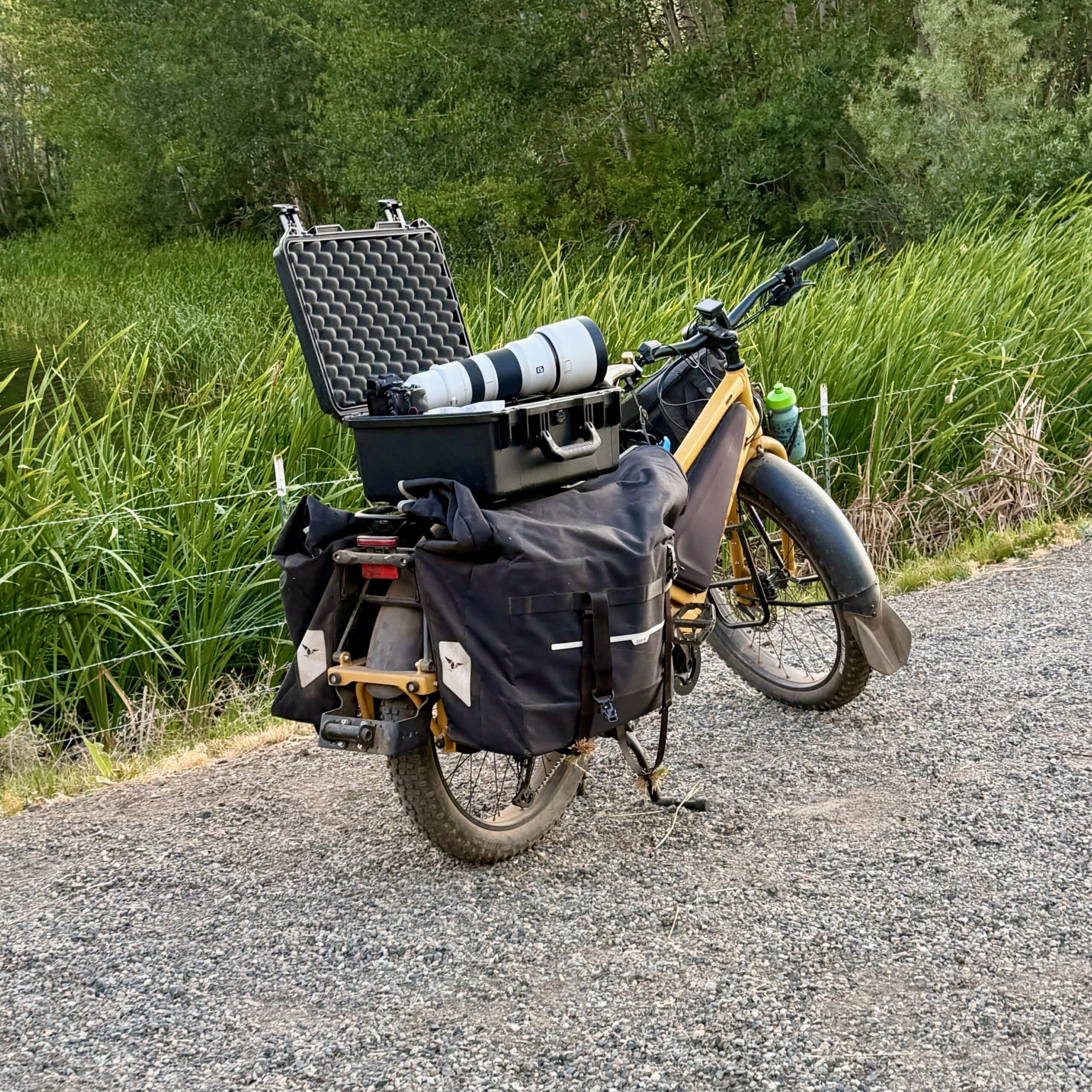 Birding by Bike – An eBike, the Right Camera Gear, and Plenty of Quiet