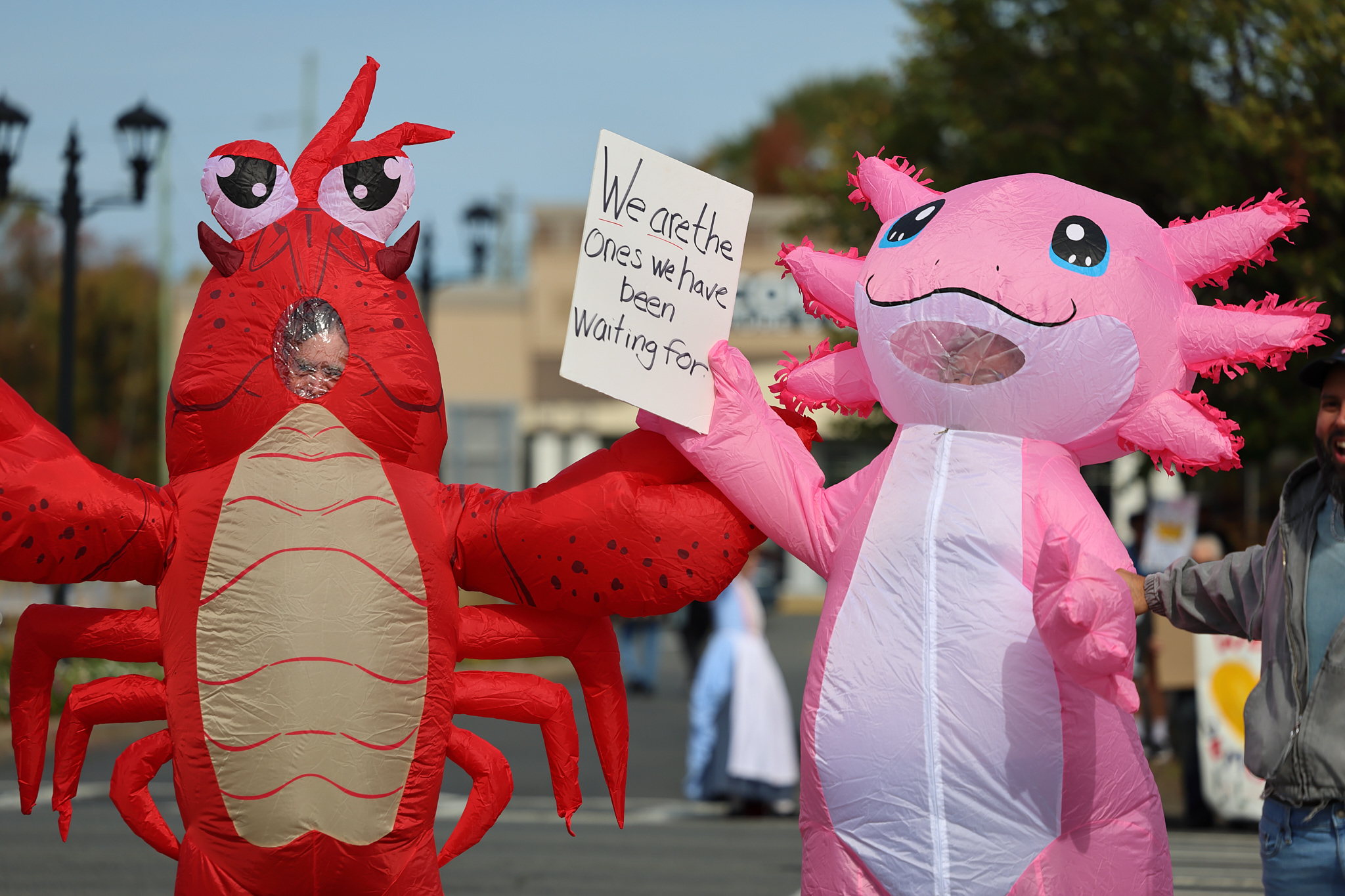 Two protesters, one in a red lobster suit, one in a pink animal costume.