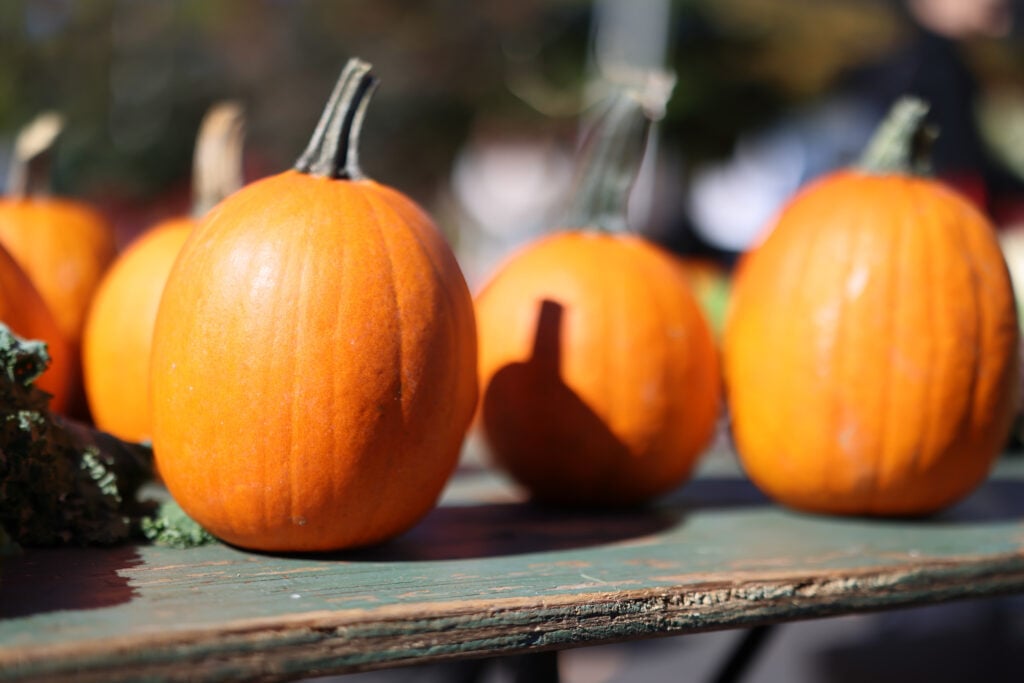 Orange Pumpkins
