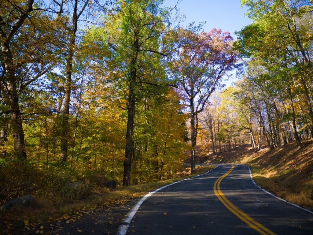 A road in the woods in the fall