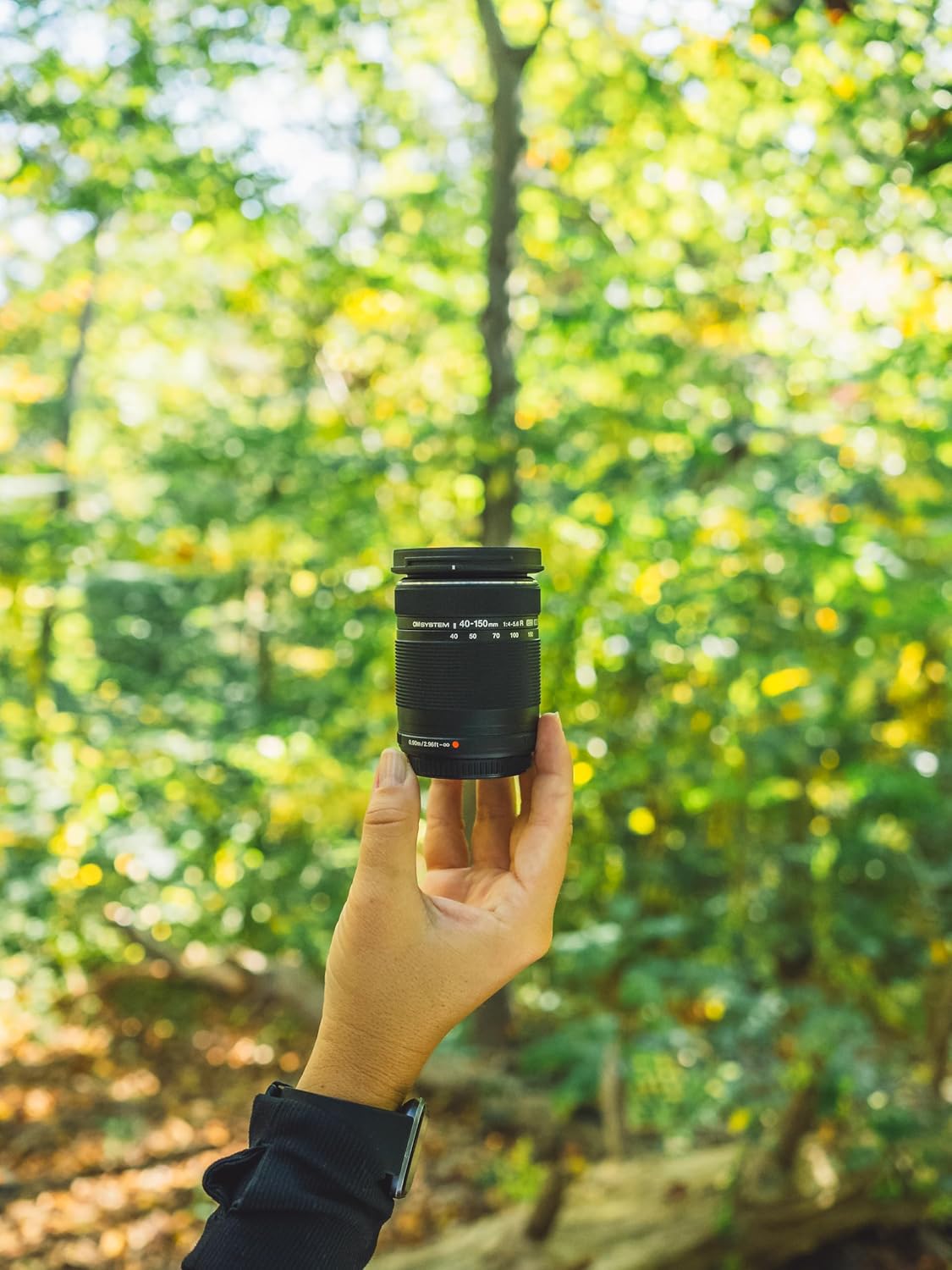 Image taken from Amazon