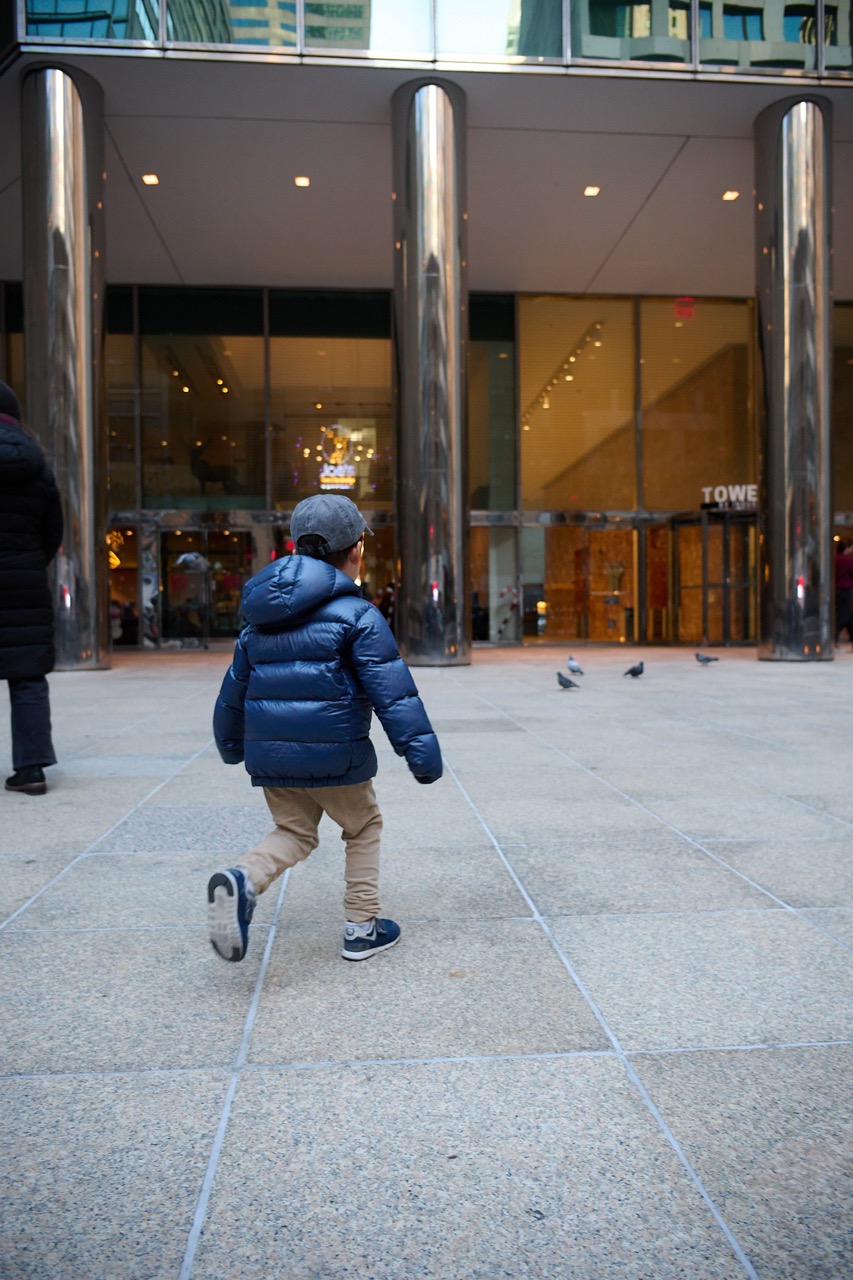 A child chases pidgeons in New York City