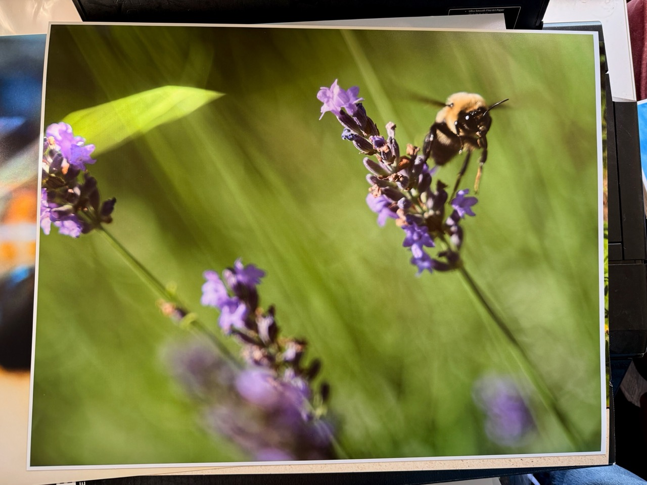 A print of a bumblebee over purple flowers. 