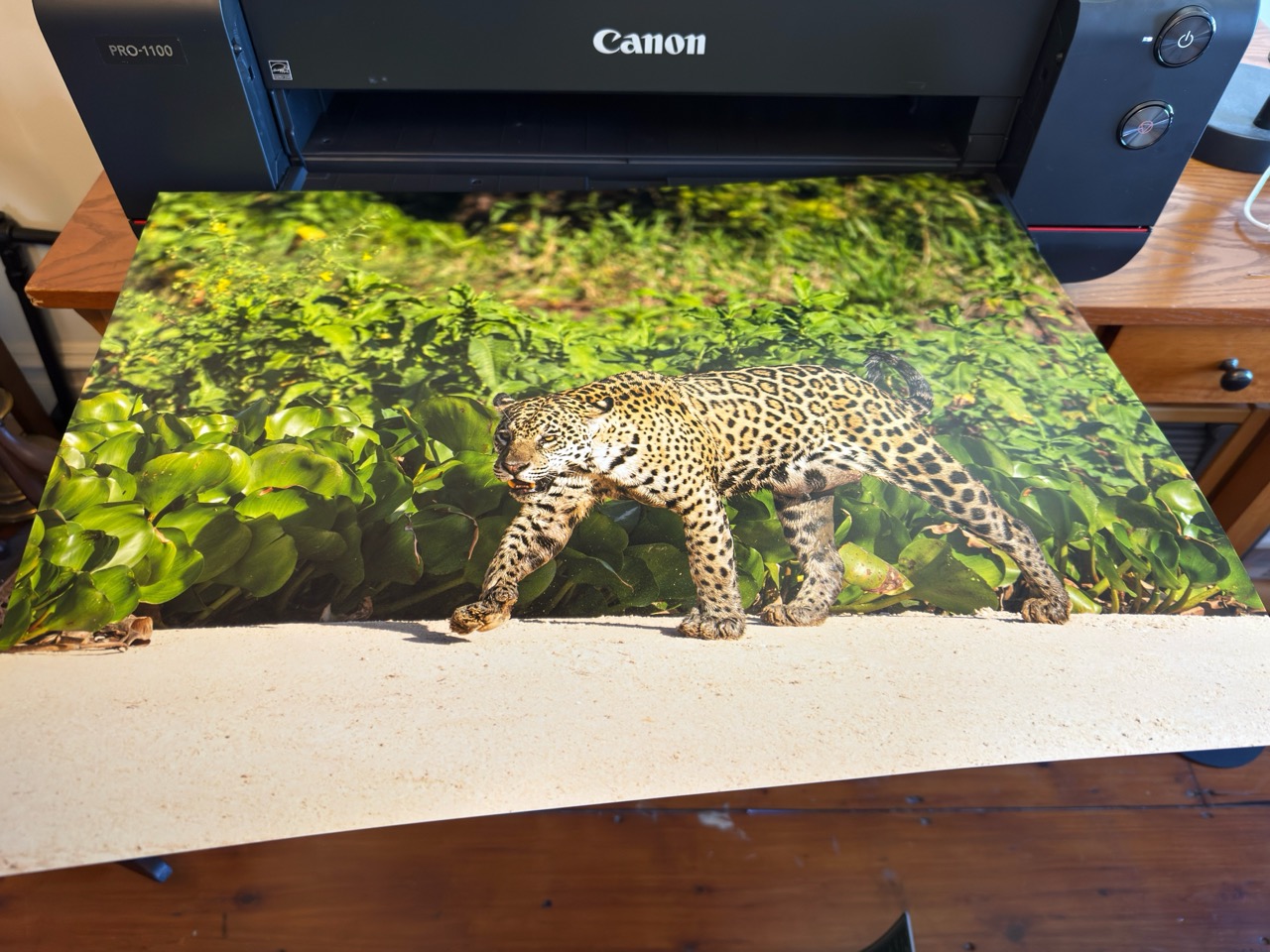 Canon imagePROGRAF PRO 1100 Review - Imaging Resource