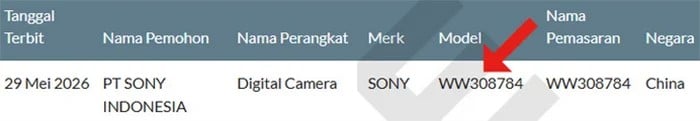 Sony camera registration in Indonesia from Sony Alpha Rumors.
