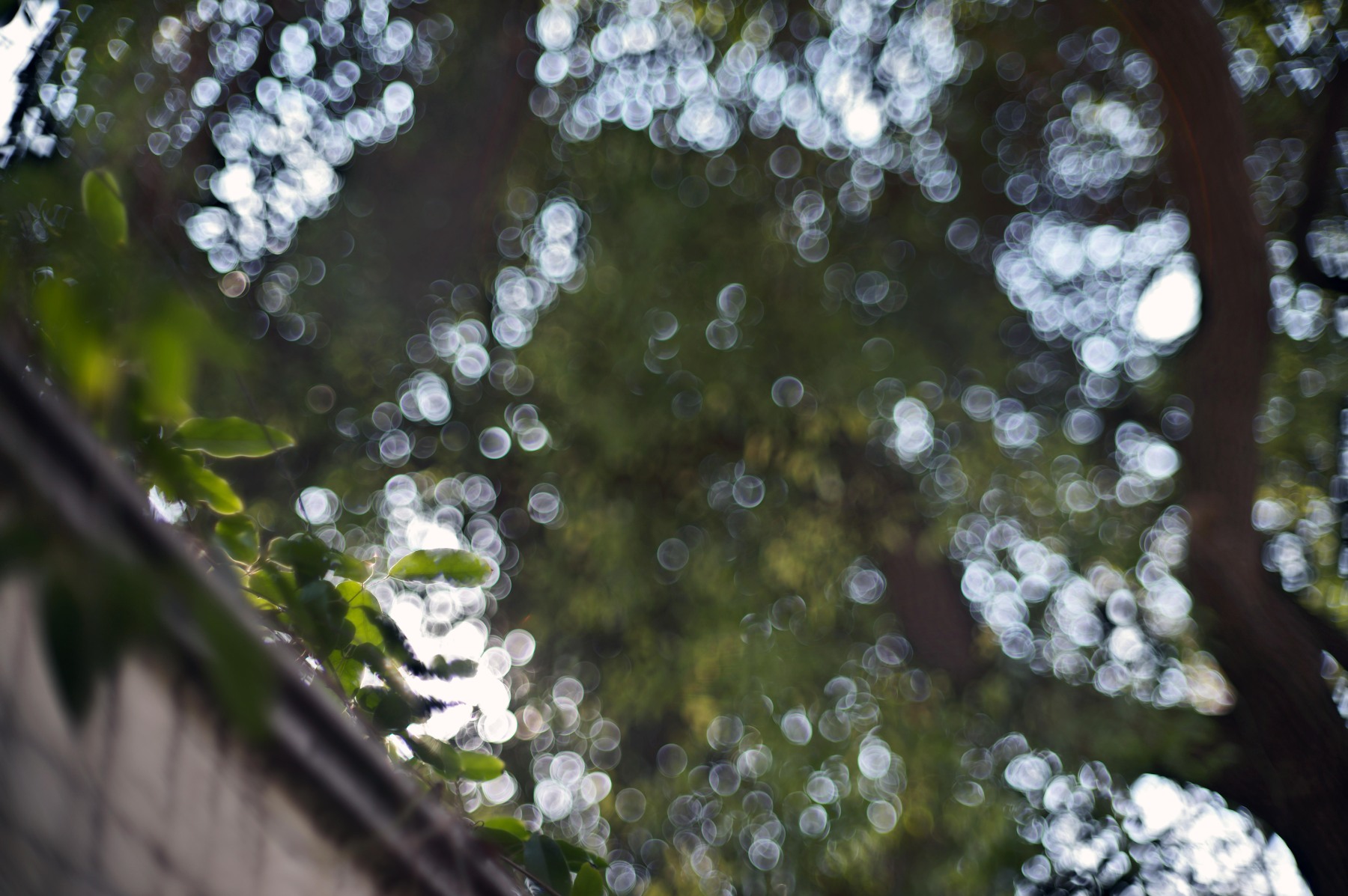 Shoten Kobo Launches Lailens LTM 50mm f/1.1 KP, Limited to 70 Units