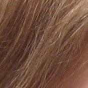 ISO 80