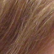 ISO 200