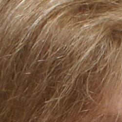 Subtle detail: Hair Noise suppression tends to blur detail in areas of subtle contrast, but the
