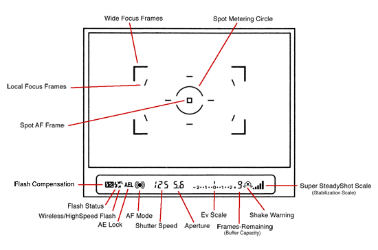 Sony Alpha DSLR-A100 Viewfinder image 1