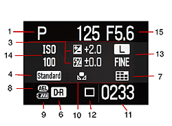 Sony Alpha DSLR-A100 Viewfinder image 6
