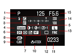 Sony Alpha DSLR-A100 Viewfinder image 5