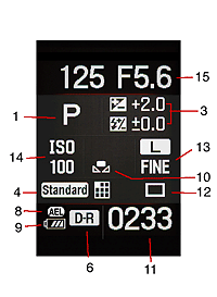 Sony Alpha DSLR-A100 Viewfinder image 8