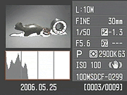 Sony Alpha DSLR-A100 Viewfinder image 10