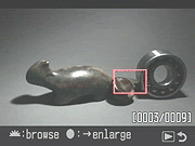 Sony Alpha DSLR-A100 Viewfinder image 11