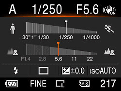Sony Alpha DSLR-A230 Overview image 15