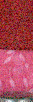 D3100 RAW Files image 28