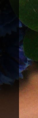 height=