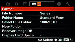 Sony Alpha SLT-A33 Menus image 20