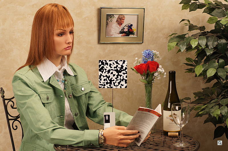 Click to see AA500INBAP1.JPG