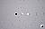 Click to see AA550FL08T.JPG
