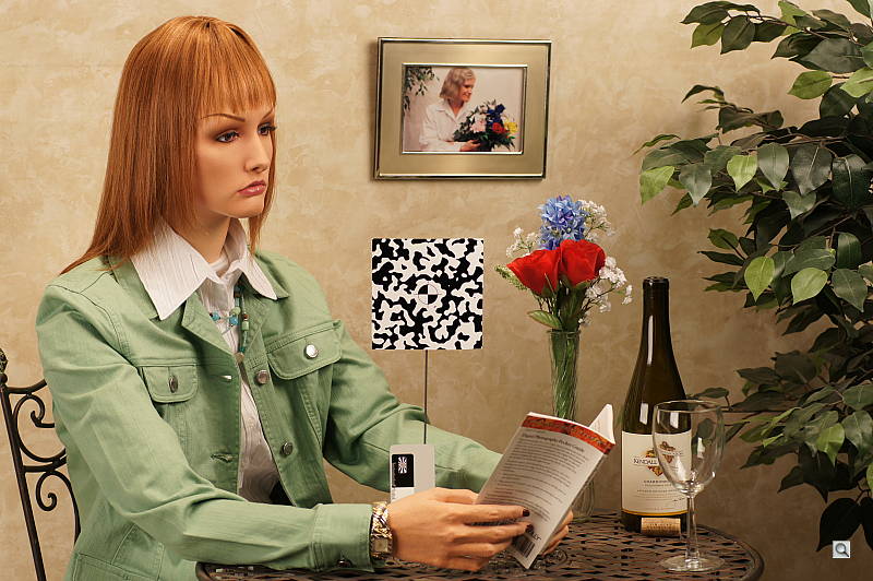 Click to see AA550INBAP1.JPG