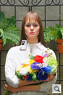 Click to see AA550OUTBDR5.JPG