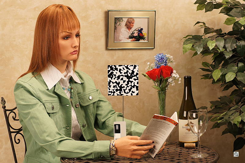 Click to see AA560INBAP2.JPG