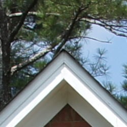 Good definition of high-contrast elements, with only minor evidence of edge enhancement.
