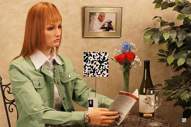 Click to see AA580INBAP1.JPG