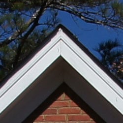 Good definition of high-contrast elements, with only minor evidence of edge enhancement.