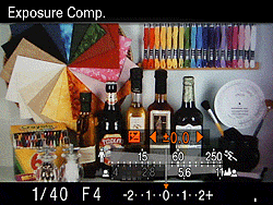 Sony Alpha DSLR-A580 Exposure image 6