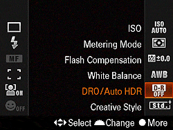 Sony Alpha DSLR-A580 Exposure image 7