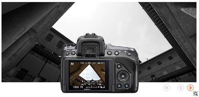 Sony Alpha DSLR-A580 Hop image 10