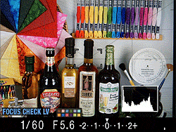 Sony Alpha DSLR-A580 Live View image 42